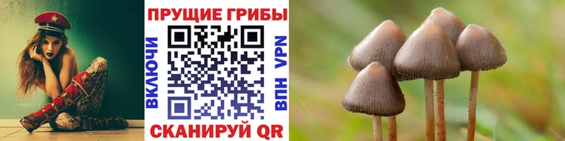 купить наркоту  Костерёво  KRAKEN зеркало  Псилоцибиновые грибы MAGIC MUSHROOMS 